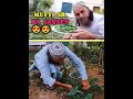 Mufti Sahab ki Garden 🏡