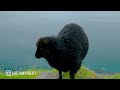 Appenzell 4k • Scenic Wildlife Film With Inspiring Cinematic Music • 4K Video Ultra HD