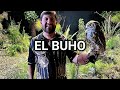 Luis R Conriquez - El Buho Letra