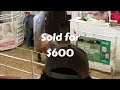 HORSE AUCTION in the WEST! Cedar Livestock Market- June 6 2024