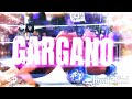 Champion's Collision: Carmelo Hayes & Johnny Gargano WWE Theme Mashup