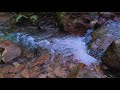 Flowing Serenity: River Sounds for Stress & Pain Relief