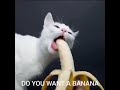 bananaultrakill.mp4