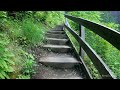 Wahclella Falls Trail | Full Virtual | Treadmill Hike | Columbia River Gorge | Cascade Locks Oregon