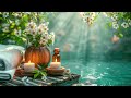 Peaceful Spa Music - Relaxing Meditation Music for Relaxation, Healing, Concentration, Calming Music