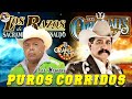 Los Razos Vs Los Originales De San Juan - Corridos Pesados 2024 - Puros Corridos Perrones Exitos