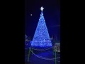Christmas Tree Light Show