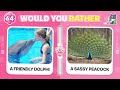 Would You Rather...? Animals Edition 🐶😺 Tom Quiz