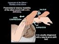 Ligaments of the Elbow Stability Of The Elbow - Everything You Need To Know - Dr. Nabil Ebraheim