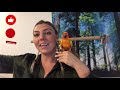 How to get your Sun Conure to BE QUIET!