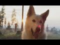24 HOURS Anti Anxiety Music for Dogs And Cats 🐶🐱 Stress Relief Music For Dogs And Cats ♬