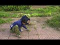 Volunteer to clean overgrown grass under trees on sidewalks with simple tools