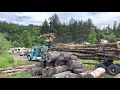 White Oak Firewood Logs Delivered