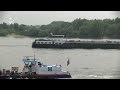 Scheepvaart op de Rijn / Shipspotting on the Rhine / Tolkamer / Europakade / vracht /cargo / HD