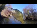 How we CAUGHT about 300 Crappie! | Jig & Bobber for CRAPPIE 🔥 🎣 [ Kayak in the Creek ]