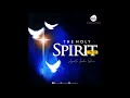 The Holy Spirit Part 1: [The Person of The Spirit]- Koinonia with Apostle Joshua Selman