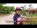 [다큐3일⭑Full] '육지 속의 섬'으로 살아온 강마을 🏝️ 강이 빚어놓은 삶의 이야기 🤗 ‘경북 영주 무섬마을'의 72시간 | KBS 방송