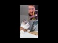 That Little Puff | Cats Make Food 😻 | Kitty God & Others | TikTok 2024 #104