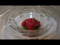 World Top Chef Pierre Gagnaire Paris 3 Michelin Stars Fine Dining Tasting Menu 21 Course $409 (€387)
