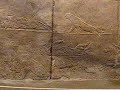 Assyrian Royal lion hunt friezes from Nineveh, British Museum vid 2