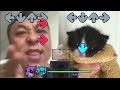 Friday Night Funkin BUT WITH Cats?! Full Week 1 FNF Custom Gameplay