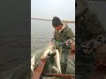 Amazing Unique Tools Fish Trap  Of Catching Lot Of Fish🐟🎣#shorts #viral #fishing
