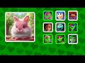 Guess the INSIDE OUT 2 Characters as RABBITS! 🐰 | Risha Quiz