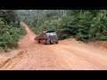 MOST CRAZY Biggest Wood Logging Truck Operator Skill Working At Another Level