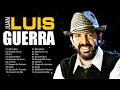 The Best  Latin Songs Playlist of Juan Luis Guerra ~ Greatest Hits Of Full Album