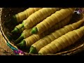 Farm fresh Okra harvest converted into steamed egg cup curry & fried Okra patties! | Traditional Me