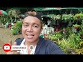 VISITING PLANT SHOPS IN QUEZON CITY MEMORIAL CIRCLE | MURA BA O MAHAL?