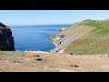 Puffin goes for a funny walk on Skomer Island.