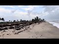 Playa de Haulover, Costa Caribe Norte de Nicaragua 🇳🇮🌊