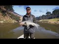 How to Catch DIAMOND Purple Labeo! South Africa Hotspot Guide - Call of the Wild theAngler