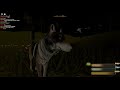 roblox sonora / mexican gray wolf and coyote! / new animals sonora