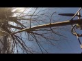 Tricopter in a tree in Clark, MO