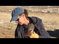 Deanna Training her Female American Kestrel