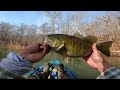 Bronze Beauty 18 inch Smallmouth Bass