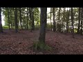 Walksnail Moonlight 4k60p Footage - Forest