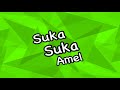 Hurricane Swiss Rolll - Chocolate | Suka Suka Amel