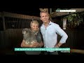 Dr Scott Miller Live From Australian Koala Hospital | This Morning