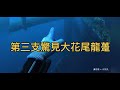 南油打魚2023-5 ～巨大龍躉同我打招呼🫱🏻‍🫲🏽沙巴/油甘/芝麻斑/海狼/黃黑吊