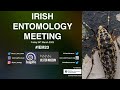 Irish Entomology Meeting 2023 ~ Introduction & Keynote-Session 1, Part 1, with Dr Helen Barber-James