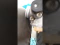 chicler o boqueler de alta Suzuki gixxer 150