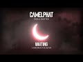CamelPhat, Eli & Fur - Waiting (Visualiser)