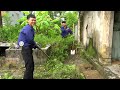 Help Single Mom Clean Up Abandoned House Overgrown With Weeds: Amazing Transformation