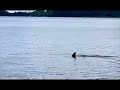 Relaxing together on the pier by the Pamlico catching bait fish