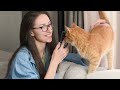 Typical Behaviors of Orange Cats