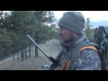 LANDLOCKED - Montana Elk Hunt