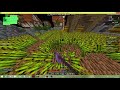 Playing Hypixel Skyblock